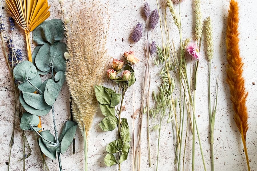 Trockenblumen und Gräser nebeneinander gelegt
