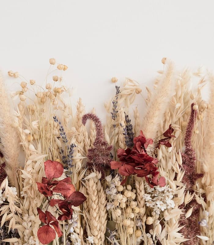 Getrockneter Farn in warmen Brauntönen